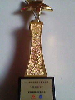 2010年10大家族奖励--荣誉奖杯